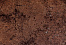 27033.jpg